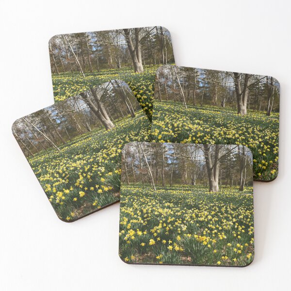 Item preview, Daffodils field _ Parsons Reserve designed and sold by Poete100.