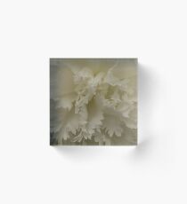 Begonia Festival 10 Acrylic Block