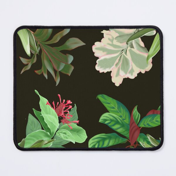 Item preview, Deane street garden designed and sold by FionaMearon.