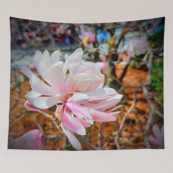 Item preview, Magnolia Stellata, Star Magnolia designed and sold by Shapes-Mania.