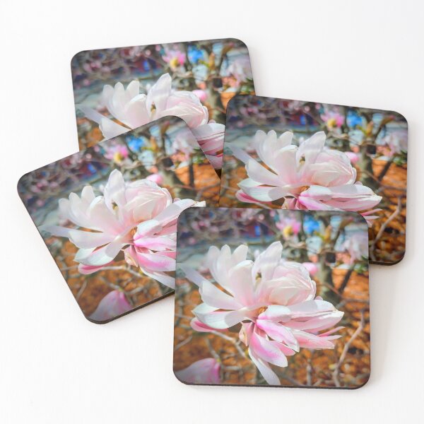 Item preview, Magnolia Stellata, Star Magnolia designed and sold by Shapes-Mania.