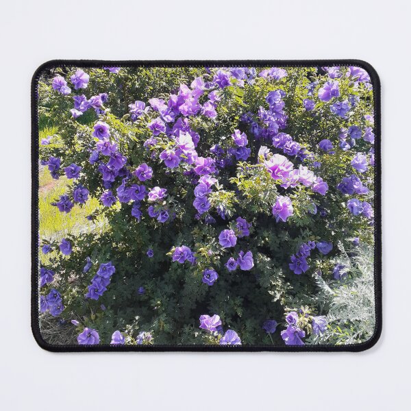 Item preview, Alyogyne Flowers Australian Native Flower Photo Purple designed and sold by Sarah  Rajkotwala.