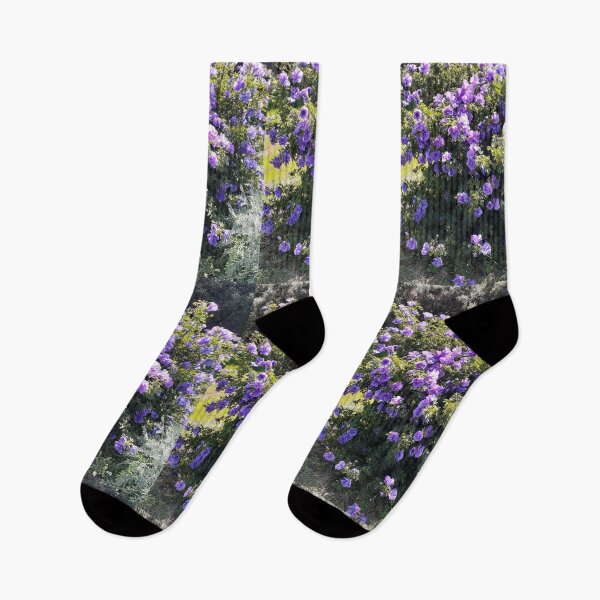 Item preview, Alyogyne Flowers Australian Native Flower Photo Purple designed and sold by Sarah  Rajkotwala.