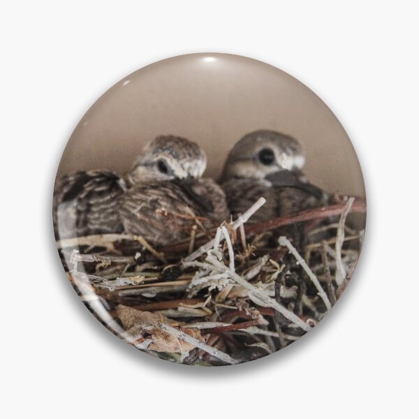 Item preview, Dove Babies Above My Window! designed and sold by heatherfriedman.