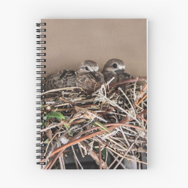 Item preview, Dove Babies Above My Window! designed and sold by heatherfriedman.