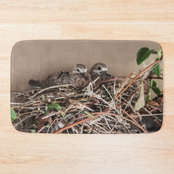 Item preview, Dove Babies Above My Window! designed and sold by heatherfriedman.