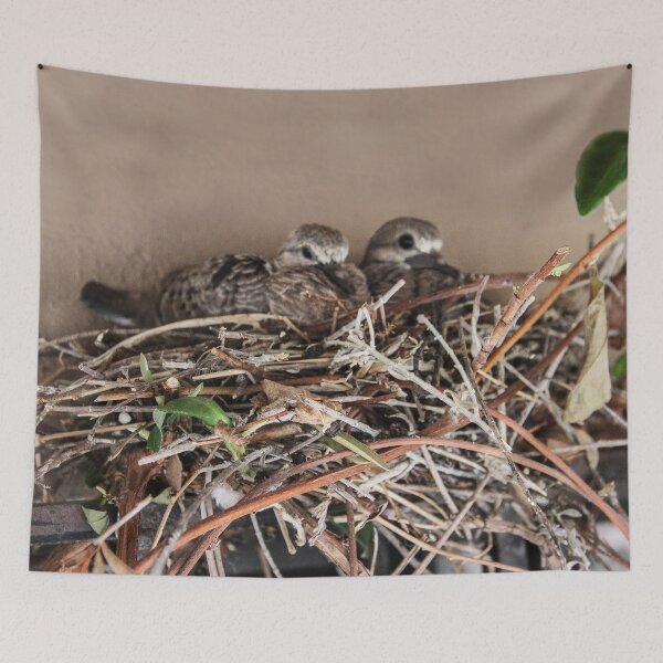 Item preview, Dove Babies Above My Window! designed and sold by heatherfriedman.