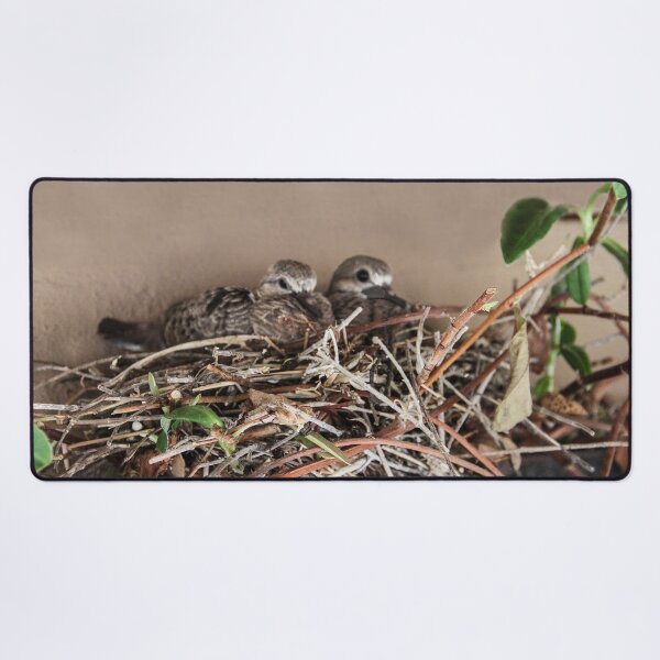 Item preview, Dove Babies Above My Window! designed and sold by heatherfriedman.