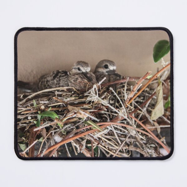 Item preview, Dove Babies Above My Window! designed and sold by heatherfriedman.
