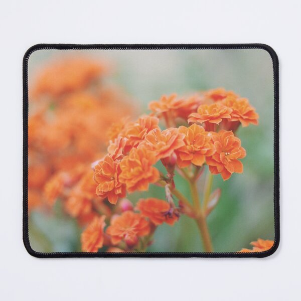 Item preview, Spring Serendipity- Gold Lantana designed and sold by MooseWhiskers.