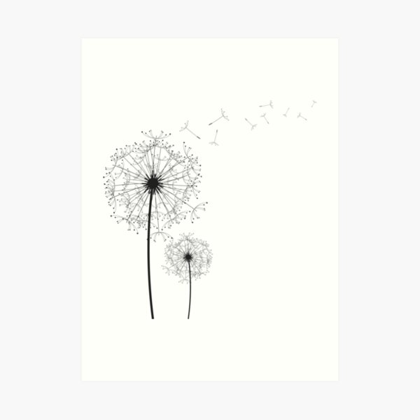 Make a Wish Art Print