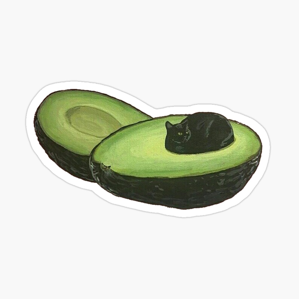 avocado for cats