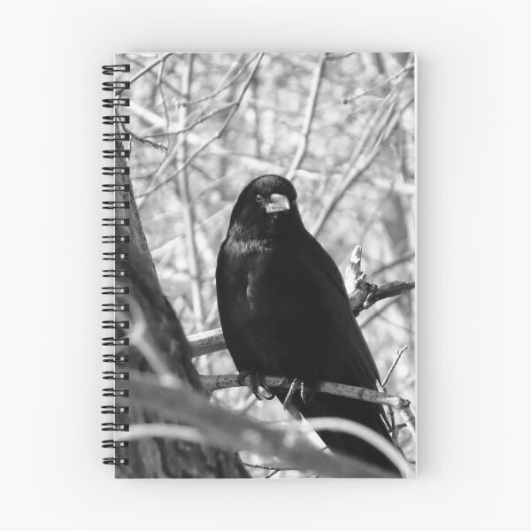 Item preview, Cuervo está mirando designed and sold by DigitalGen.