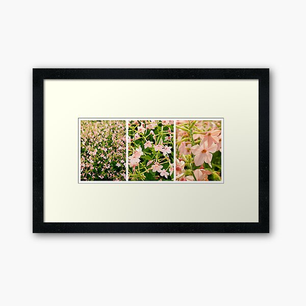 Scale1-Bells Framed Art Print