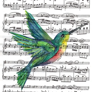 Artwork thumbnail, Musically Hummingbird by missmann