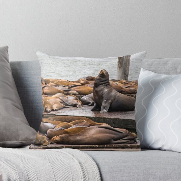 Item preview, Sea Lions at Fisherman's Wharf designed and sold by DirtyMountain.