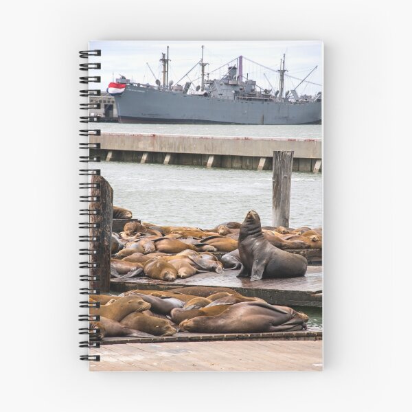 Item preview, Sea Lions at Fisherman's Wharf designed and sold by DirtyMountain.