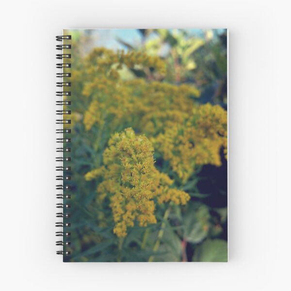 Item preview, Yellow flowers in Eastern Canada designed and sold by creativechuckie.