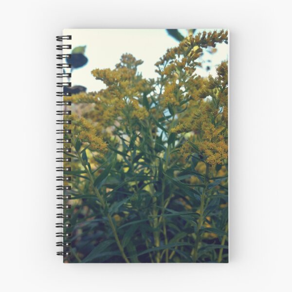 Item preview, Yellow Flowers in Eastern Canada designed and sold by creativechuckie.