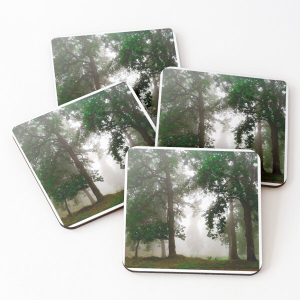 Item preview, Dark foggy forest    designed and sold by anisbbmbrush.