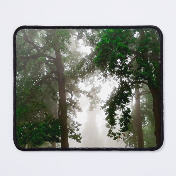 Item preview, Dark foggy forest designed and sold by anisbbmbrush.