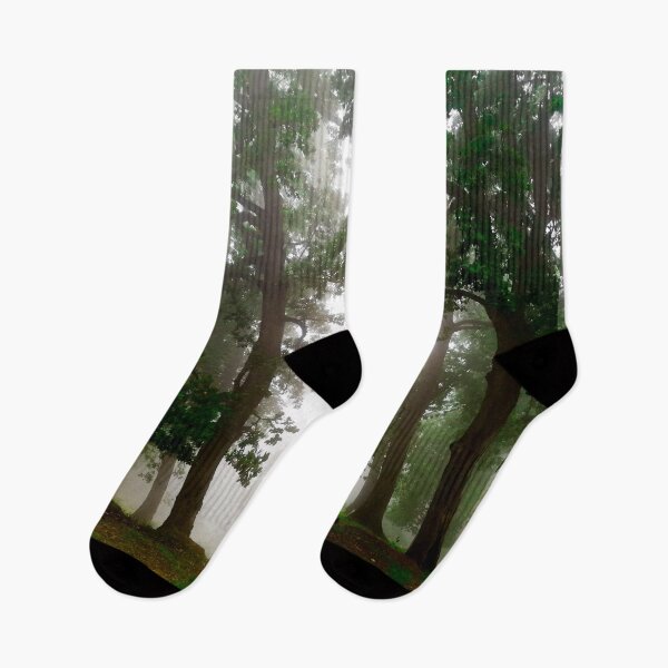 Item preview, Dark foggy forest designed and sold by anisbbmbrush.