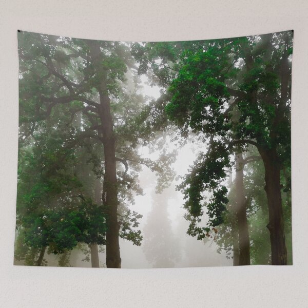 Item preview, Dark foggy forest    designed and sold by anisbbmbrush.