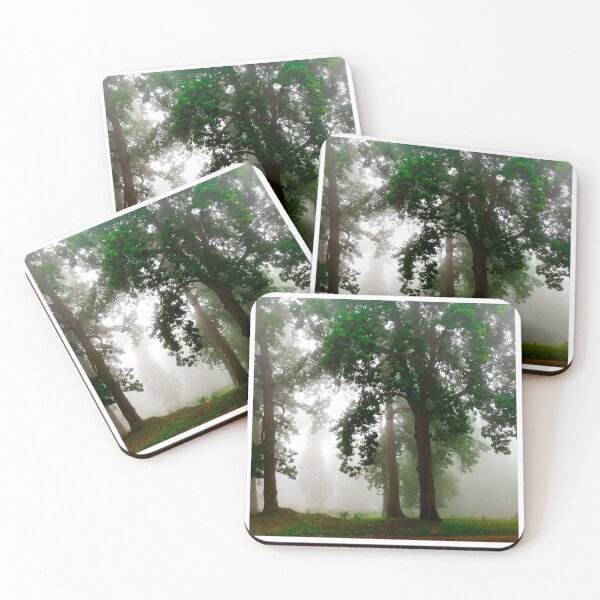 Item preview, Spooky witch forest  designed and sold by anisbbmbrush.