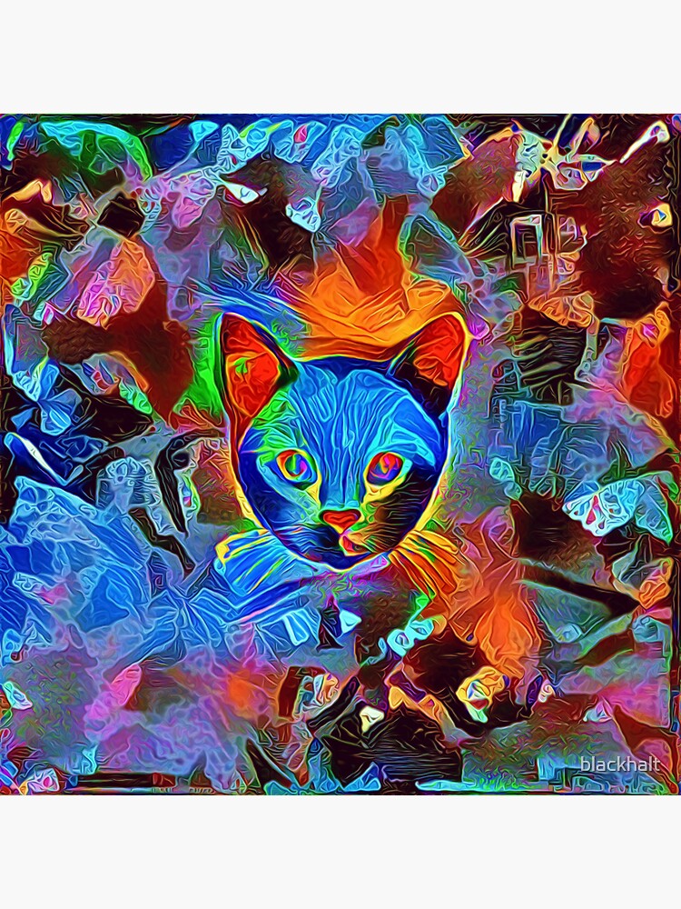 Black cat by blackhalt