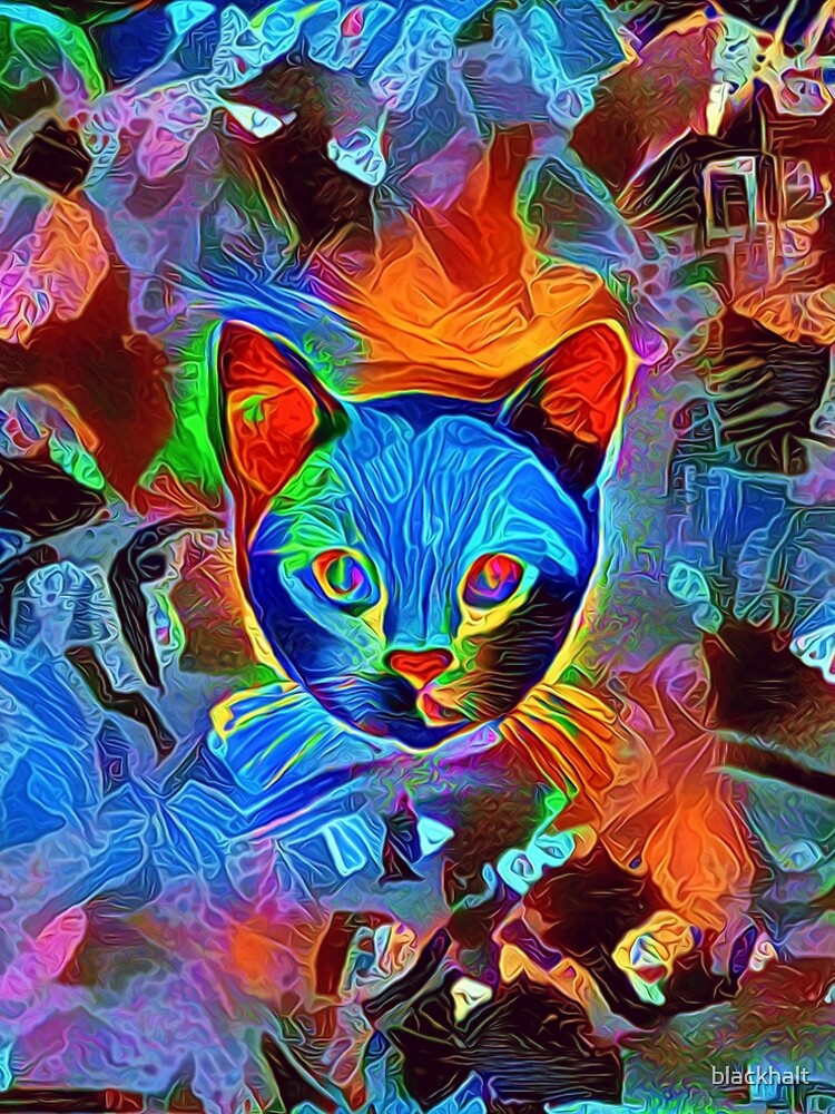 Black cat by blackhalt