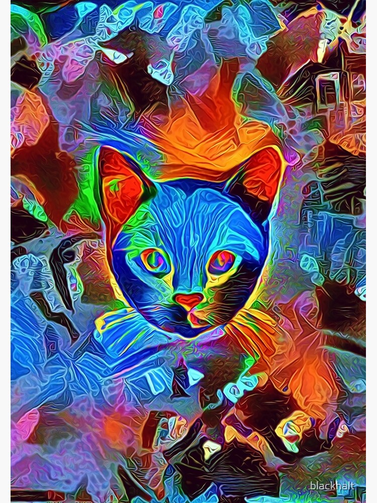 Black cat by blackhalt