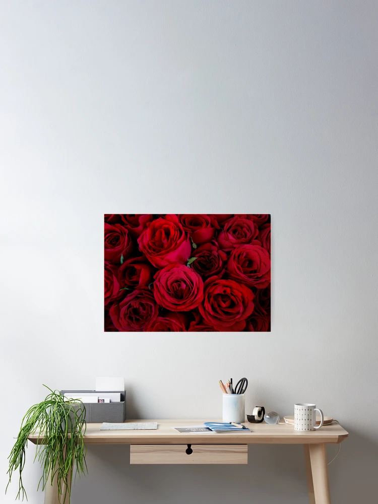 Thumbnail 2 of 3, Poster, Red Roses designed and sold by PixPlanet.