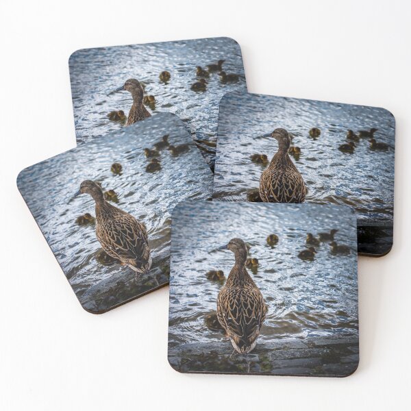 Item preview, Mallard And Ducklings designed and sold by axp7884.