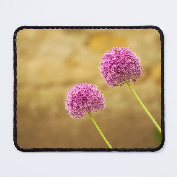 Item preview, Allium Millenium Ornamental Onion plant designed and sold by CarolinaReina.