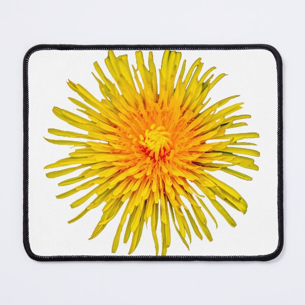 Item preview, Dandelion Spring gold designed and sold by Dalyndigital Photography.
