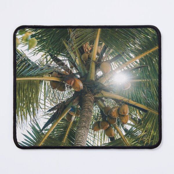 Item preview, Palm Tree designed and sold by asun5.