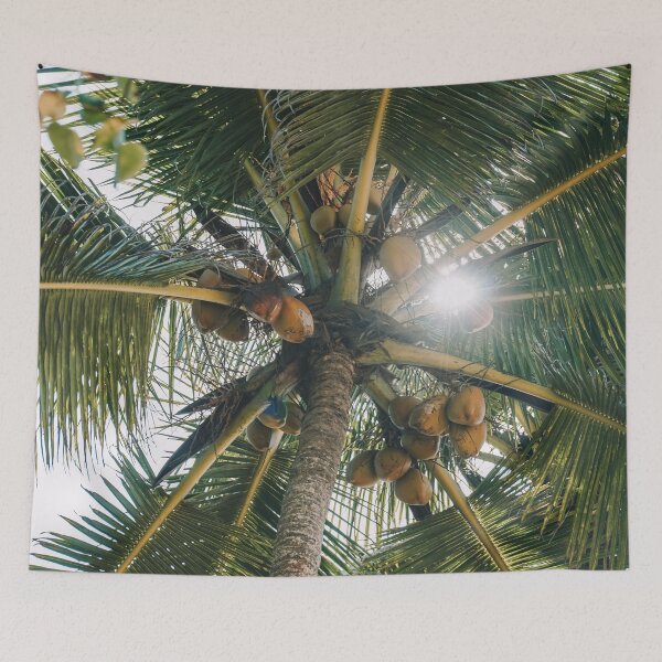 Item preview, Palm Tree designed and sold by asun5.
