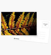Bracken Postcards