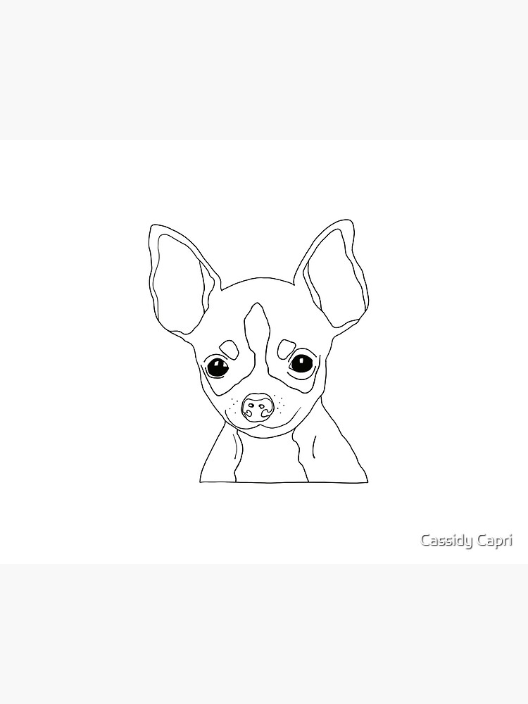 Chihuahua Drawing Postcard By Cassidycapri Redbubble