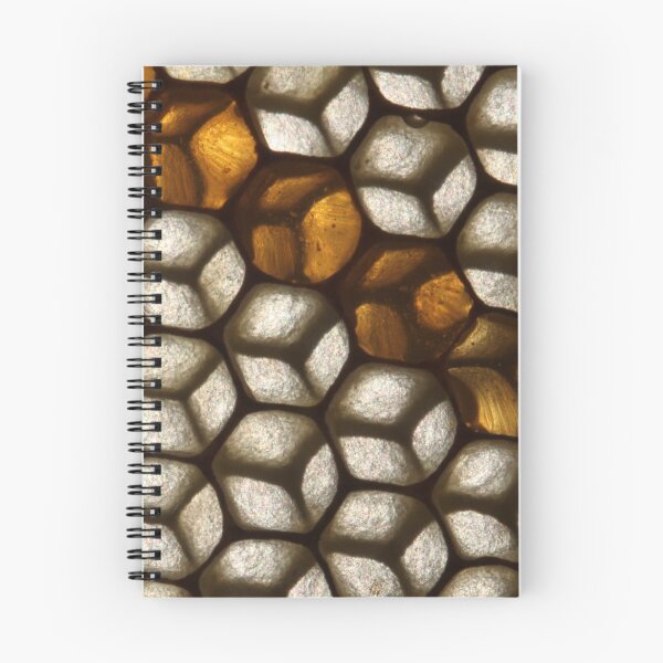 Item preview, honey line designed and sold by yvesrossetti.