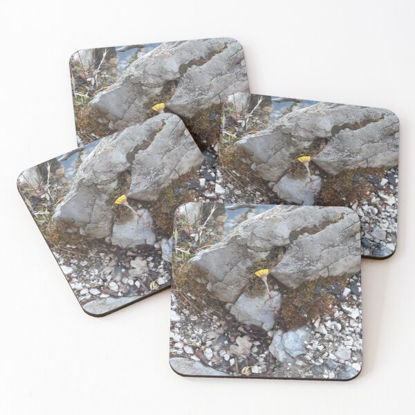 Item preview, wild flowers in the rocks... designed and sold by barbich.