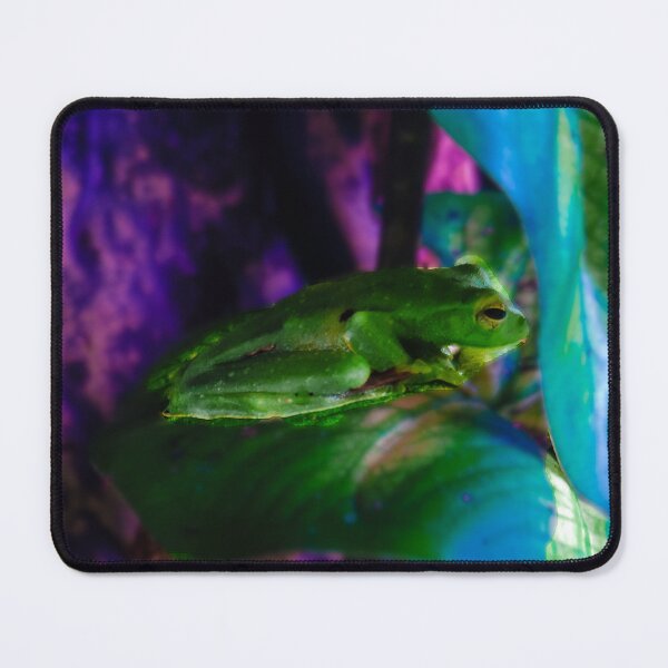 Item preview, Green treefrog designed and sold by saravana.