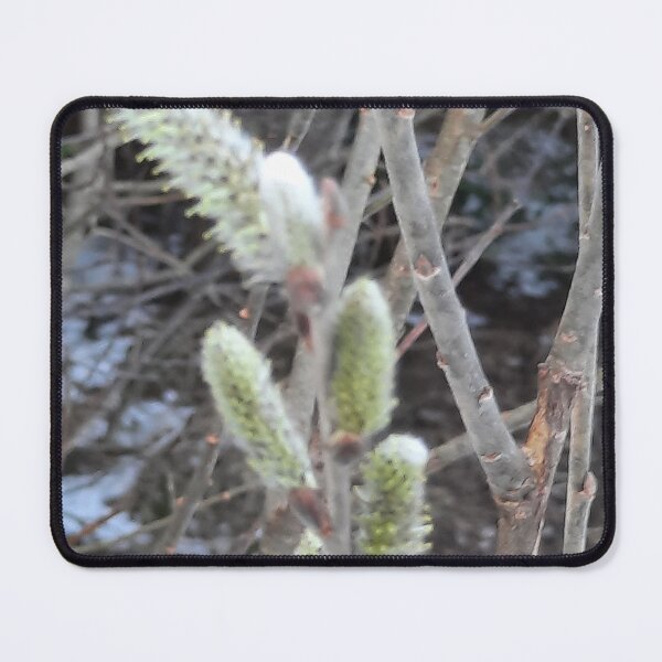 Item preview, spring is here... designed and sold by barbich.