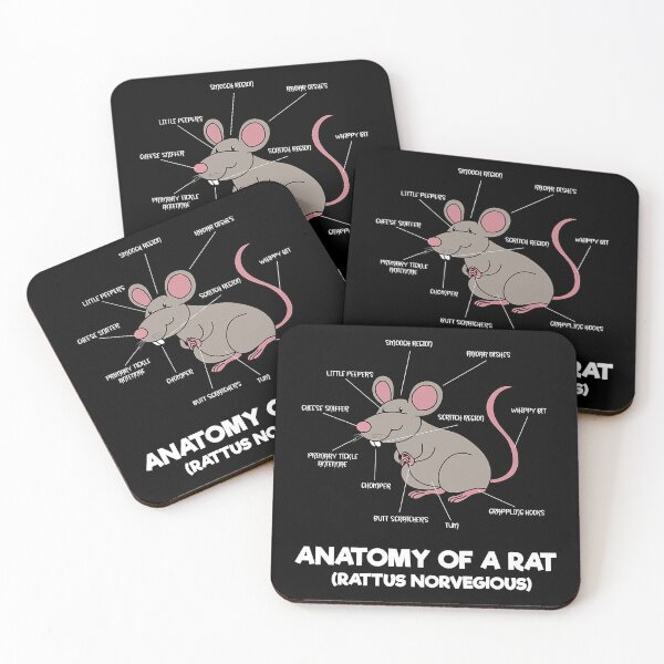 Item preview, Anatomy Of A Rat - Funny Body Parts Mouse designed and sold by KimichoKoros.