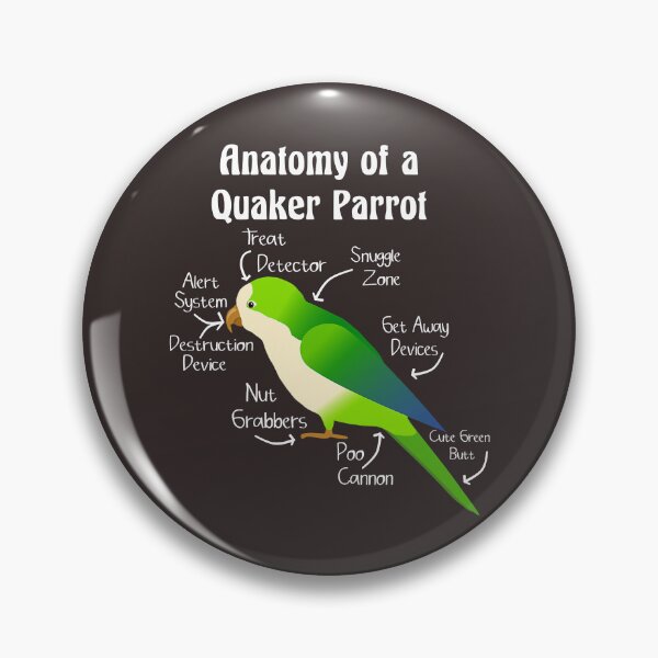 Item preview, Anatomy of Quaker Parrot Monk Parakeet designed and sold by KimichoKoros.