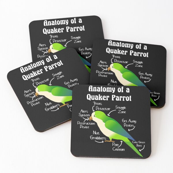Item preview, Anatomy of Quaker Parrot Monk Parakeet designed and sold by KimichoKoros.