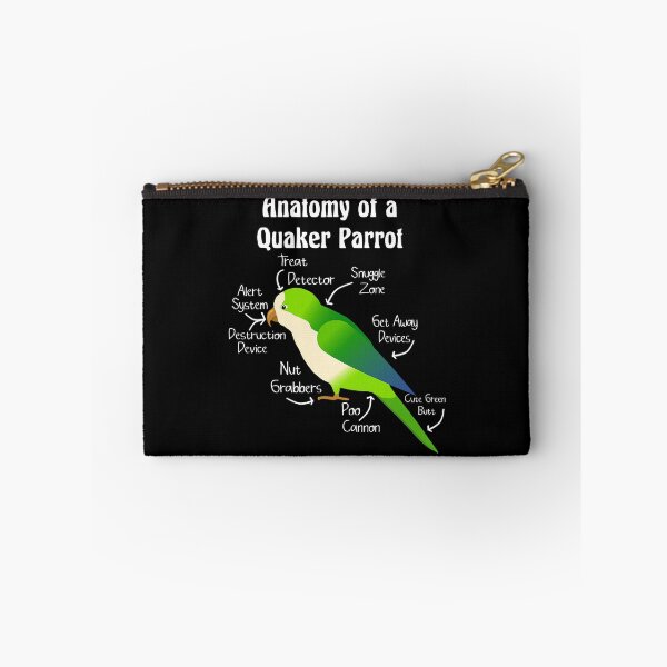 Item preview, Anatomy of Quaker Parrot Monk Parakeet designed and sold by KimichoKoros.