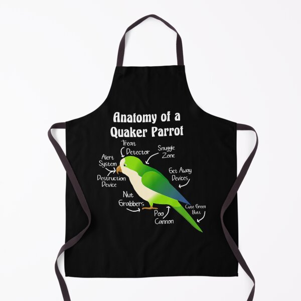Item preview, Anatomy of Quaker Parrot Monk Parakeet designed and sold by KimichoKoros.