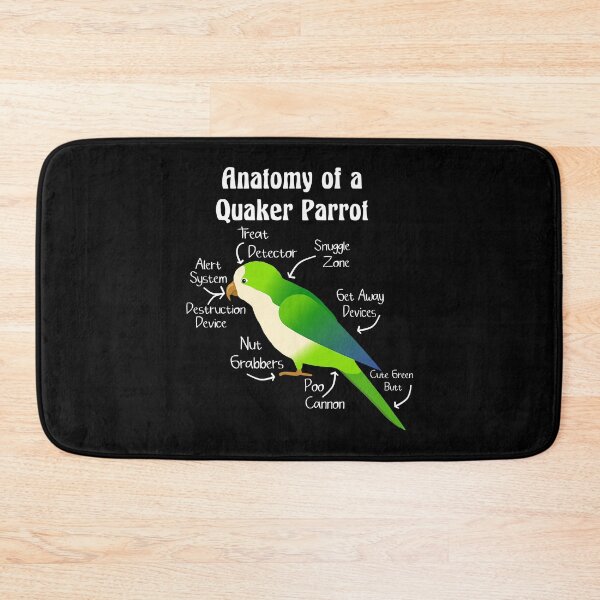 Item preview, Anatomy of Quaker Parrot Monk Parakeet designed and sold by KimichoKoros.
