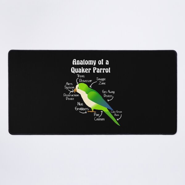 Item preview, Anatomy of Quaker Parrot Monk Parakeet designed and sold by KimichoKoros.